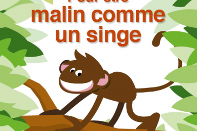 Malin comme un singe 3B - Guide