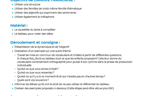 Article activité Noël